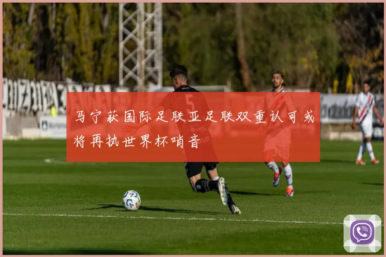 马宁获国际足联亚足联双重认可或将再执世界杯哨音
